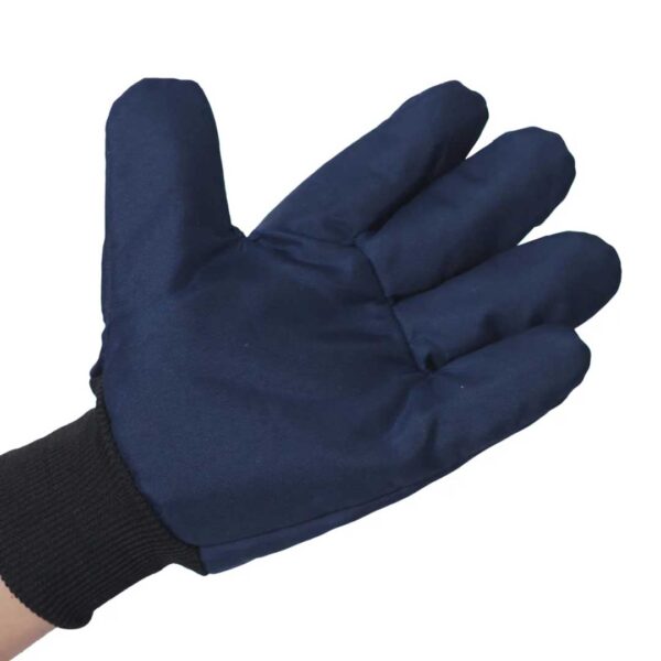 Luva Térmica em Nylon para Baixa Temperatura - 2